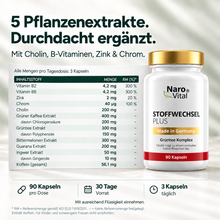 Lade das Bild in den Galerie-Viewer, Stoffwechsel Plus – Stoffwechsel Komplex