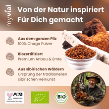 Lade das Bild in den Galerie-Viewer, Bio Chaga Kapseln