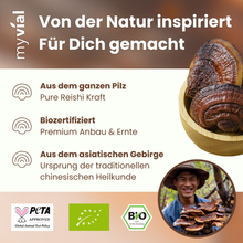 Lade das Bild in den Galerie-Viewer, Bio Reishi Kapseln