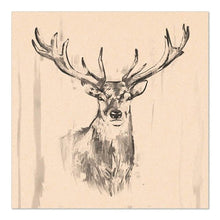 Lade das Bild in den Galerie-Viewer, PAPSTAR 20 Servietten, 33 cm x 33 cm 3-lagig 1/4-Falz natur