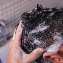 Lade das Bild in den Galerie-Viewer, Follicle Treatment Conditioner Anti-Haarausfall Kur