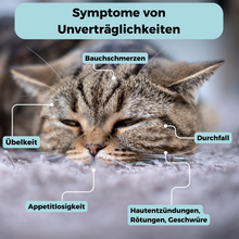 Lade das Bild in den Galerie-Viewer, Futtermittel-Zusatzstoff-Test Katze
