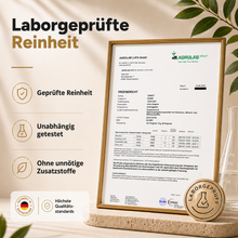 Lade das Bild in den Galerie-Viewer, Kinderwunsch – Pränatale Vitamine