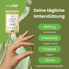 Lade das Bild in den Galerie-Viewer, Quercetin Kapseln