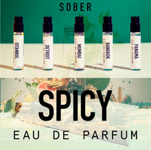 Lade das Bild in den Galerie-Viewer, Discovery Set - Spicy