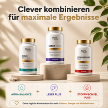 Lade das Bild in den Galerie-Viewer, Stoffwechsel Plus – Stoffwechsel Komplex