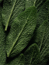 Lade das Bild in den Galerie-Viewer, Deep Cleanse Scalp Scrub, Rosemary & Mint