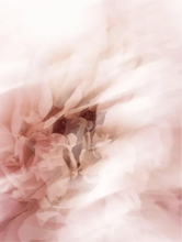 Lade das Bild in den Galerie-Viewer, Light Moisturising Day Cream