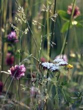 Lade das Bild in den Galerie-Viewer, Soy Wax Candle Wild Flower