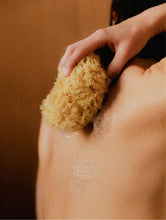 Lade das Bild in den Galerie-Viewer, Hand & Body Wash, Grapefruit