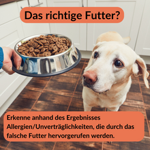 Lade das Bild in den Galerie-Viewer, Allergietest Hund