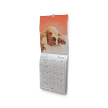 Lade das Bild in den Galerie-Viewer, Command™ Mini-Haken, 17066 | Packung (1 Stück)
