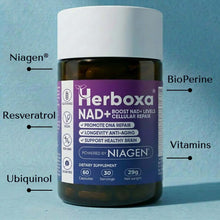 Lade das Bild in den Galerie-Viewer, Herboxa® NAD+
