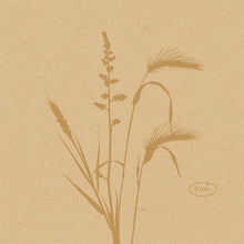 Lade das Bild in den Galerie-Viewer, Bio-Dunisoft-Serv. 20x20cm
