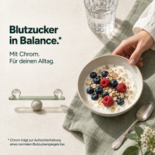 Lade das Bild in den Galerie-Viewer, Stoffwechsel Plus – Stoffwechsel Komplex

