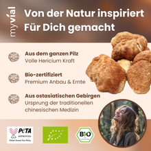Lade das Bild in den Galerie-Viewer, Bio Hericium Kapseln Lionsmane
