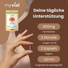 Lade das Bild in den Galerie-Viewer, Bio Reishi Kapseln
