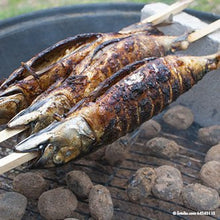 Lade das Bild in den Galerie-Viewer, PAPSTAR Grill-Spieße "pure" 80 cm, ideal für Steckerlfisch | Schrumpffolie (20 Stück)
