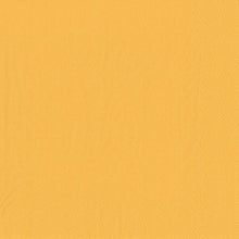 Lade das Bild in den Galerie-Viewer, PAPSTAR 50 Servietten, 2-lagig 1/4-Falz 40 cm x 40 cm
