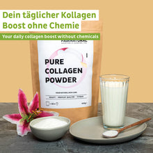 Lade das Bild in den Galerie-Viewer, Collagen Hydrolysat Pulver
