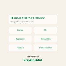 Lade das Bild in den Galerie-Viewer, Burnout Stress Check
