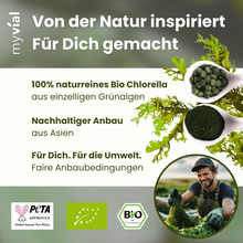 Lade das Bild in den Galerie-Viewer, Bio Chlorella Tabletten Presslinge
