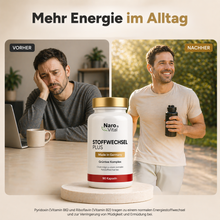 Lade das Bild in den Galerie-Viewer, Stoffwechsel Plus – Stoffwechsel Komplex
