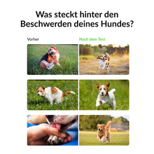 Lade das Bild in den Galerie-Viewer, Allergietest für Hunde
