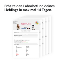 Lade das Bild in den Galerie-Viewer, Allergietest für Hunde
