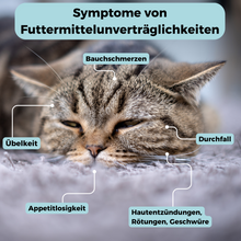 Lade das Bild in den Galerie-Viewer, Allergietest Katze
