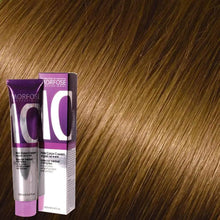 Lade das Bild in den Galerie-Viewer, Morfose - Hair Color Cream 10 Argan Oil 100 ml / Brown
