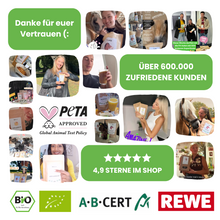 Lade das Bild in den Galerie-Viewer, Bio Goldene Milch Latte mit 10 ayurvedischen Superfoods

