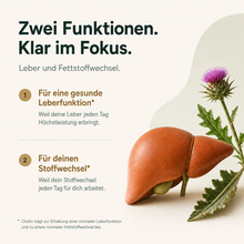 Lade das Bild in den Galerie-Viewer, Leber Plus – Mariendistel Komplex
