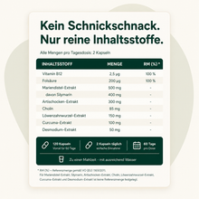 Lade das Bild in den Galerie-Viewer, Leber Plus – Mariendistel Komplex
