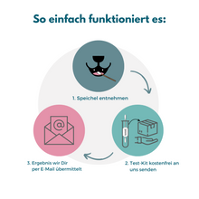 Lade das Bild in den Galerie-Viewer, Allergietest für Welpen

