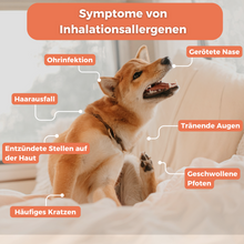 Lade das Bild in den Galerie-Viewer, Inhalationsallergene-Test Hund
