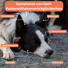 Lade das Bild in den Galerie-Viewer, Barf-Test Hund
