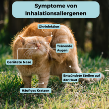 Lade das Bild in den Galerie-Viewer, Inhalationsallergene-Test Katze
