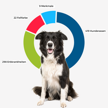 Lade das Bild in den Galerie-Viewer, DNA-Erbkrankheiten Analyse Hund
