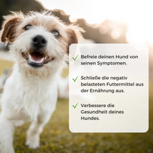 Lade das Bild in den Galerie-Viewer, Allergietest Hund
