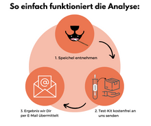 Lade das Bild in den Galerie-Viewer, DNA Hunderassenbestimmung

