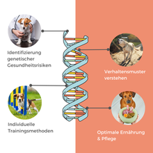 Lade das Bild in den Galerie-Viewer, DNA Hunderassenbestimmung
