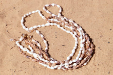 Lade das Bild in den Galerie-Viewer, Muschel Brillenkette Weiss-Braun
