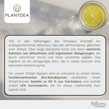 Lade das Bild in den Galerie-Viewer, Shilajit Extrakt Kapseln
