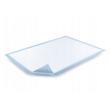 Lade das Bild in den Galerie-Viewer, BeeSana® ComCell Unterlage 60x90 cm aus Zellulose Papier | Packung (25 Stück)
