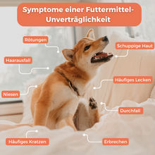 Lade das Bild in den Galerie-Viewer, Allergietest Hund
