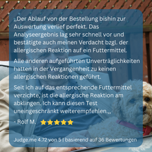 Lade das Bild in den Galerie-Viewer, Allergietest Hund
