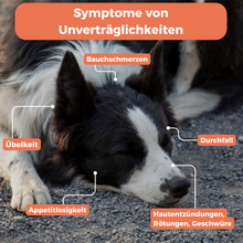 Lade das Bild in den Galerie-Viewer, Futtermittel-Zusatzstoff-Test Hund
